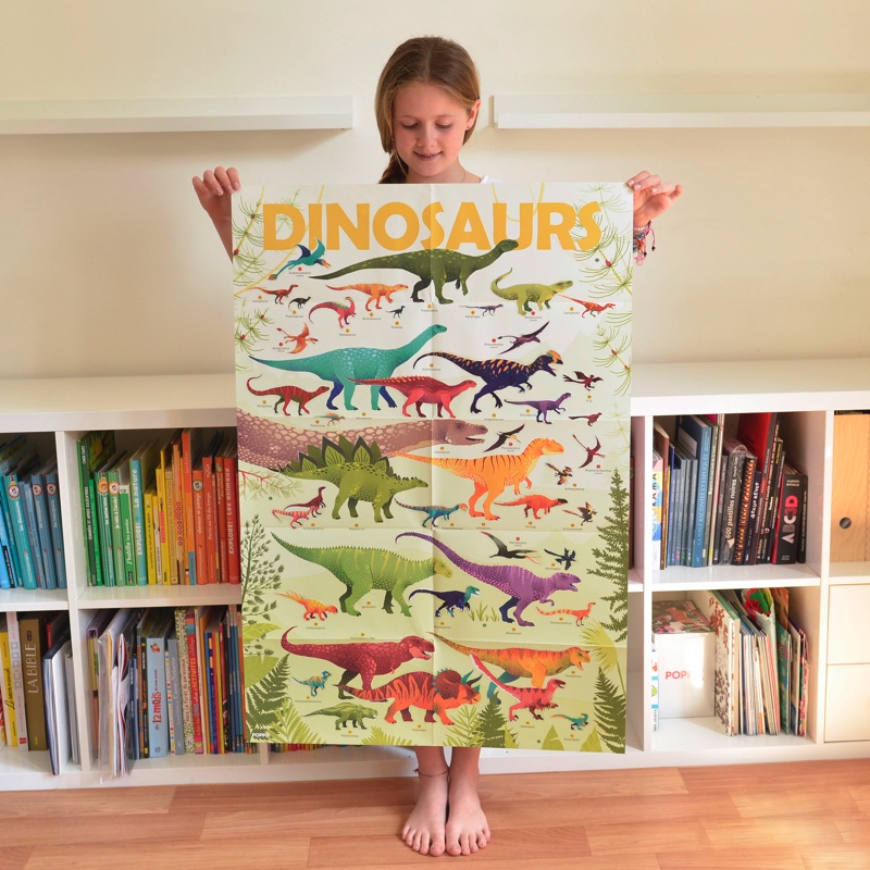 Poster pédagogique + 32 stickers dinausores