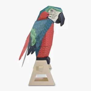 Créer ton perroquet sans colle – Image 4