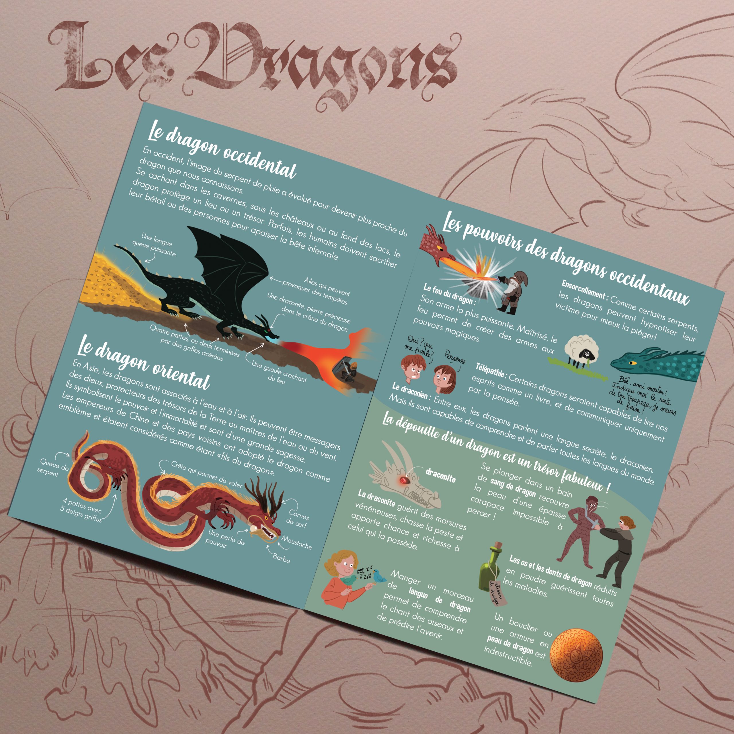 Kit créatif : Les dragons – Image 8