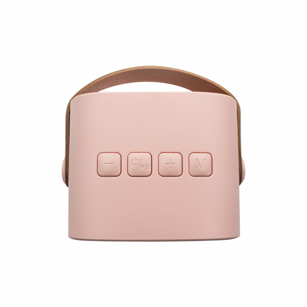 Karaoké Enceinte et Micro sans fil Rose