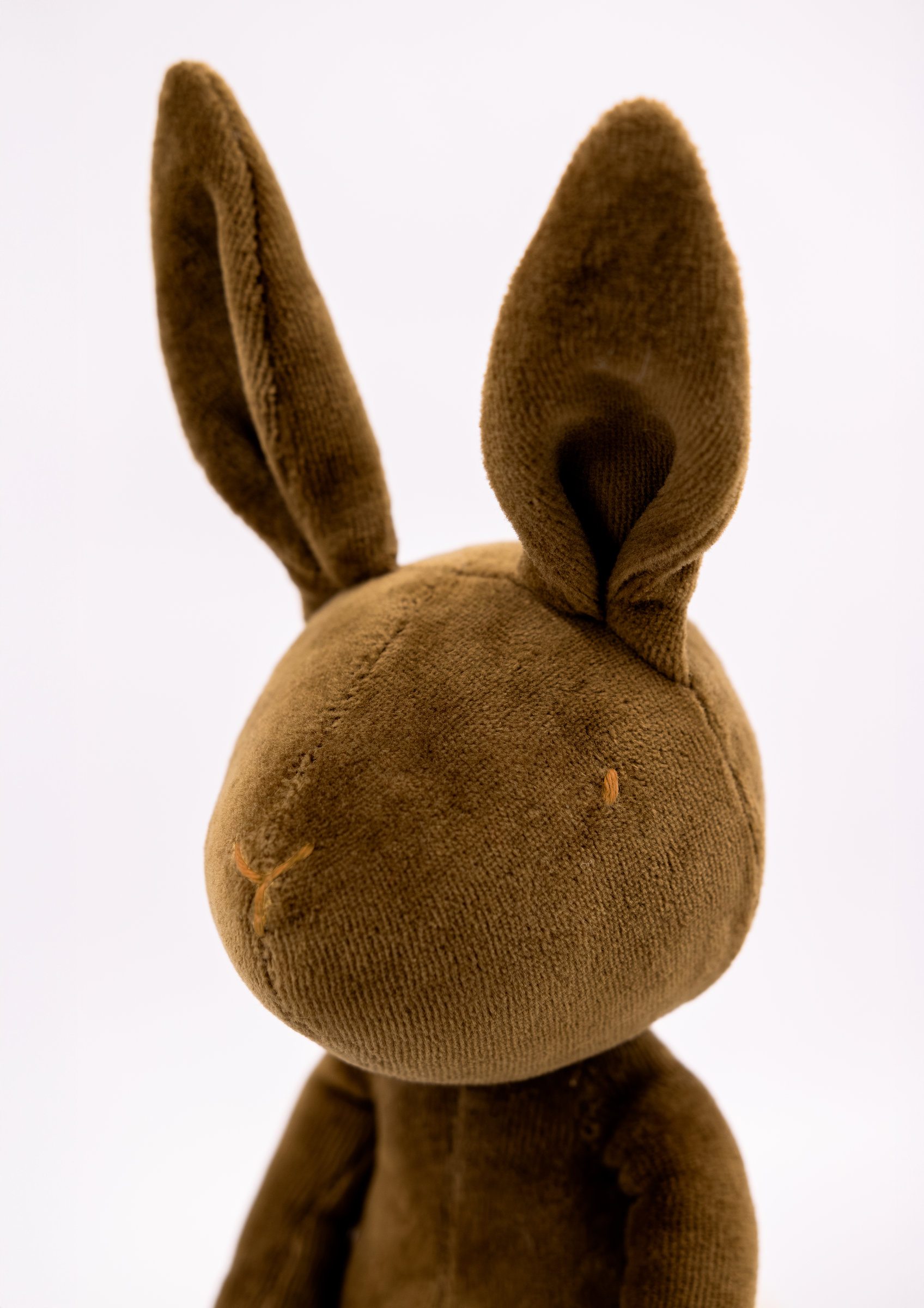 DANIEL LE LAPIN - M/L Marron – Image 6