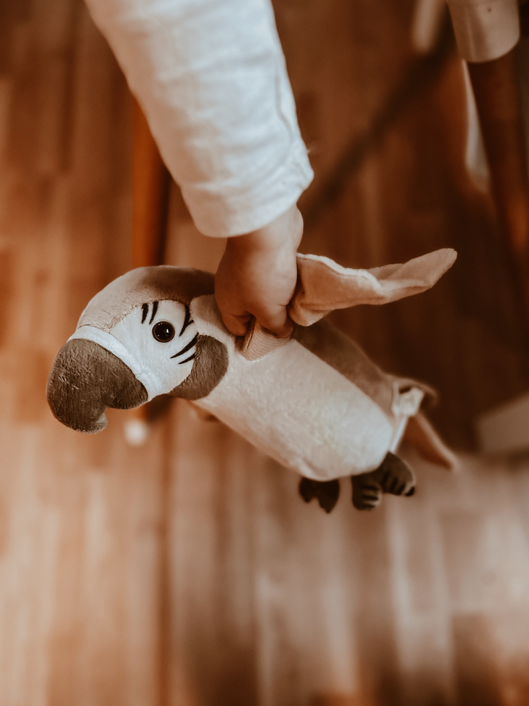Peluche Pierre - The talking parrot – Image 5