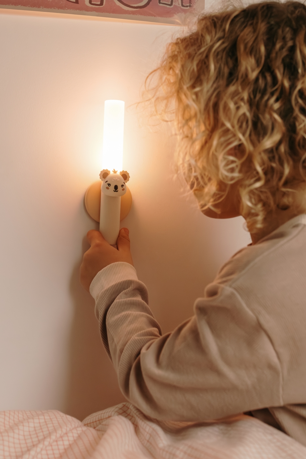 Zoo Light Koala – Image 11