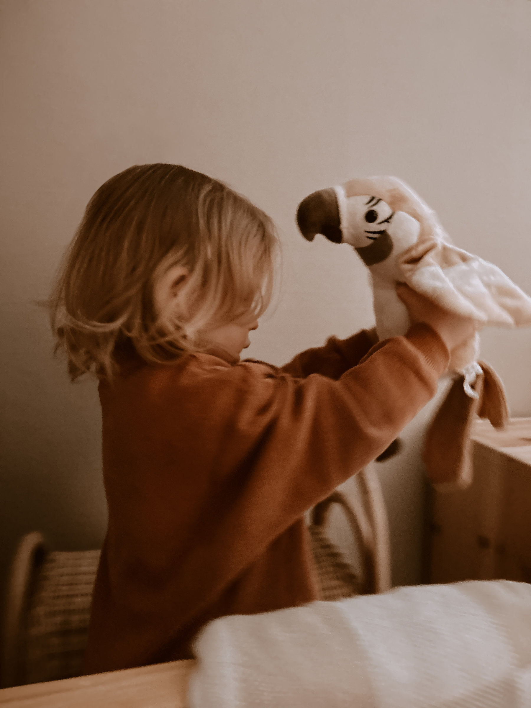 Peluche Pierre - The talking parrot – Image 2